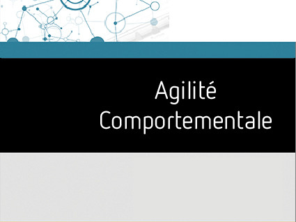 Formation Agilite Comportementale